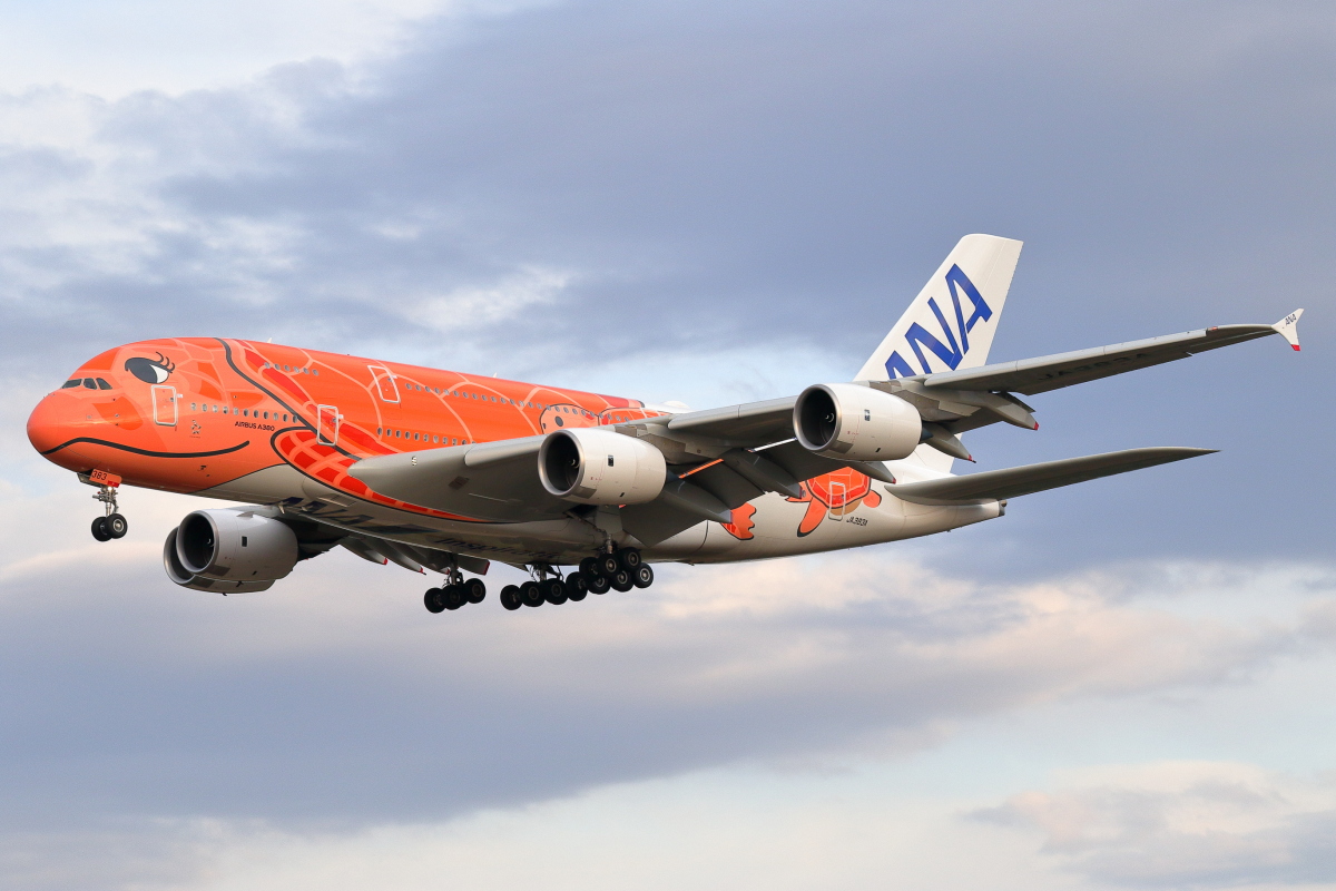 コロナに大きく翻弄された”日本最後の巨人機” ANA「フライングホヌ」6