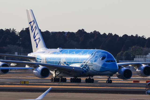 機体記号 : JA381A (ANA) 特別塗装機「フライングホヌ ラニ/1号機