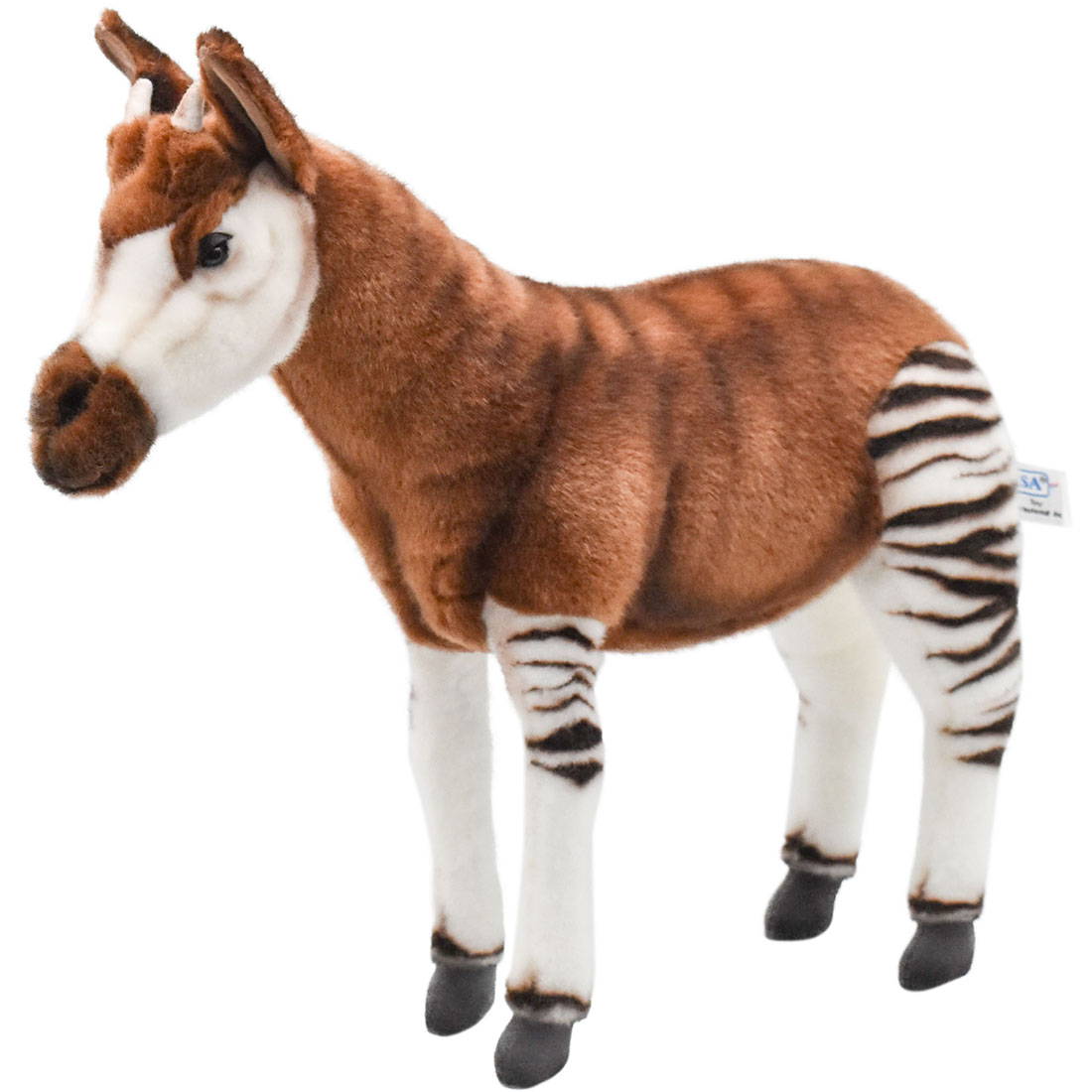 オカピ 41 | HANSA