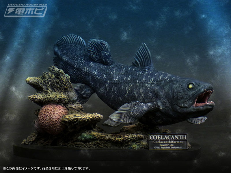 生きた化石「シーラカンス」が海底を泳ぐ姿を、ポリストーン製