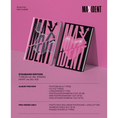 Stray Kids MAXIDENT STANDARD EDITION album HEART ver Black | eBay