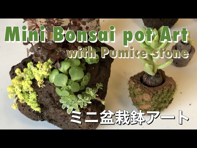 軽石でミニ盆栽鉢アート／Mini bonsai pot art with pumice stone
