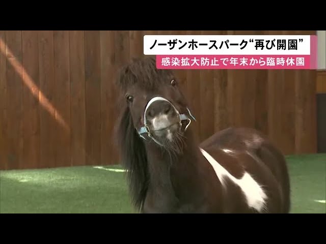 来てよかった」ノーザンホースパーク約2か月半ぶり開園…ポニー＆家族