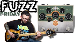 Beetronics Royal Jelly | FUZZ FRIDAY EP. XII - YouTube