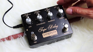 Empress Effects Tape Delay | review demo - YouTube