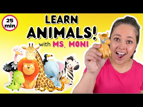 Learn Animals with Ms. Moni | Toddler Music | Teach Animal Songs