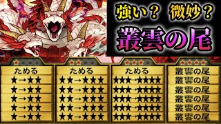 アプリ版でも強化が欲しい！キャパシティのお化け“祟竜ヤマタノオロチ