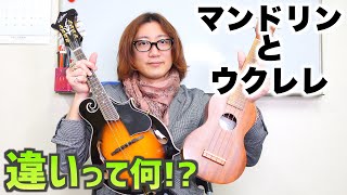 マンドリンとウクレレって違いって何!? - YouTube