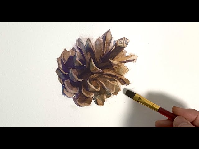 Watercolor Sketch 164/Pine Cone 水彩スケッチ164/松ぼっくり - YouTube