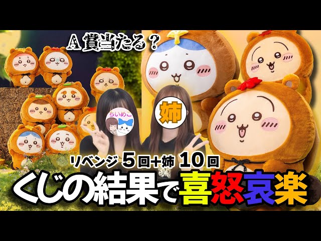 Chiikawa] The sisters are spinning the popular 