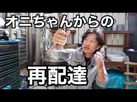 Super anxious] My second Pachira from Oni-chan [Gardening