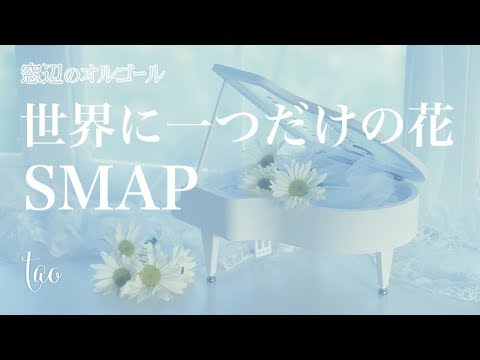 オルゴール♫ 「世界に一つだけの花」/ SMAP ドラマ『僕の生きる道