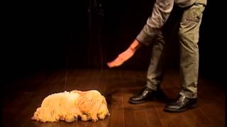 Moffy / おすすめ定番マリオネット