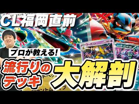 サイトウコウセイの常勝の哲学ch【ポケカ元四天王・竜王・日本代表