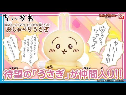 イヤッハー！めっちゃ叫ぶうさぎのぬいぐるみ登場！「はなしをきいて