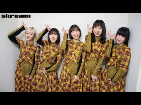 豆柴の大群、特別公演