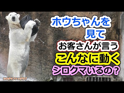 Looking at Hou-chan, customers say, Is 💗 there a polar bear that