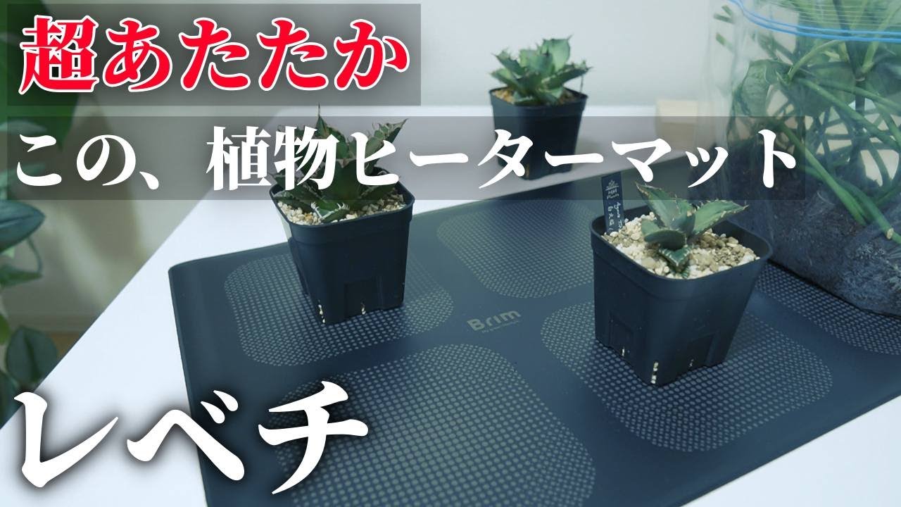BRIM植物ヒートマットレビュー - RxFarm