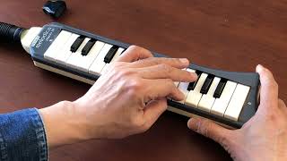 organ69 : [kh194]Hohner melodica piano 26