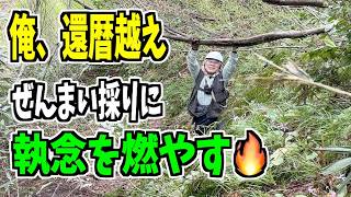 2025-05-10【Wild vegetables】I went to pick bamboo shoots and also