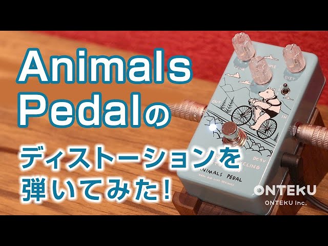おんがく動画】Animals Pedal Tioga Road Cycling Distortion を弾いて
