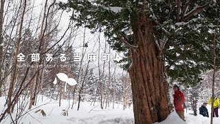 Enjoy GREEN Life】樹齢千年のイチイの木 - YouTube