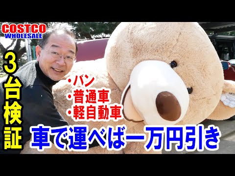 We got the biggest 236cm teddy bear at Costco! We used three cars