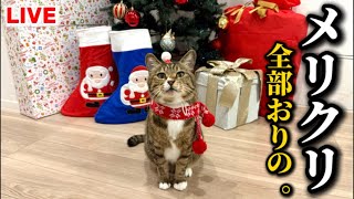 Christmas LIVE🎄 - YouTube