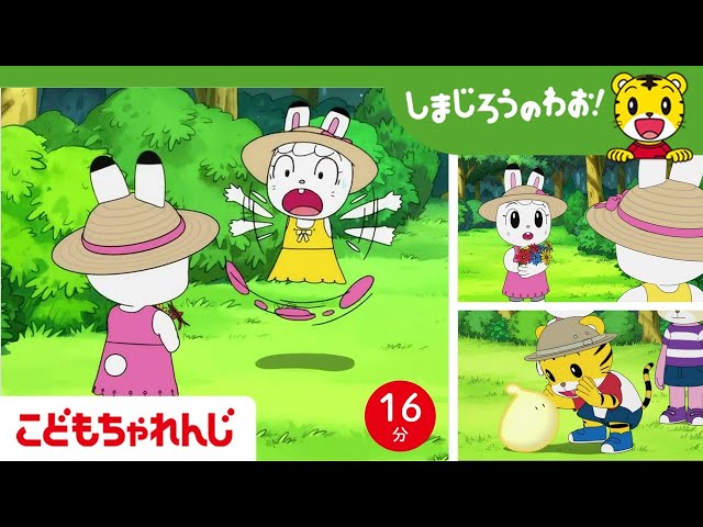 16分アニメ】みみりんが二人！？森のおともだち | 夏休み