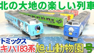 開封】トミックス キハ183系 旭山動物園号【ディテール観察】 - YouTube