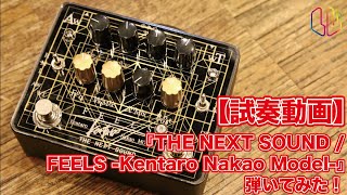 試奏動画】『THE NEXT SOUND FEELS -Kentaro Nakao Model-』弾いてみた