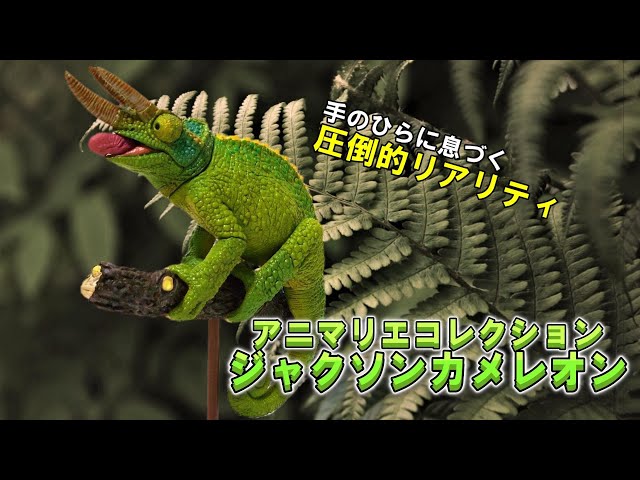 え！？本物？？】今にも動きだしそうなカメレオンのフィギュアが凄