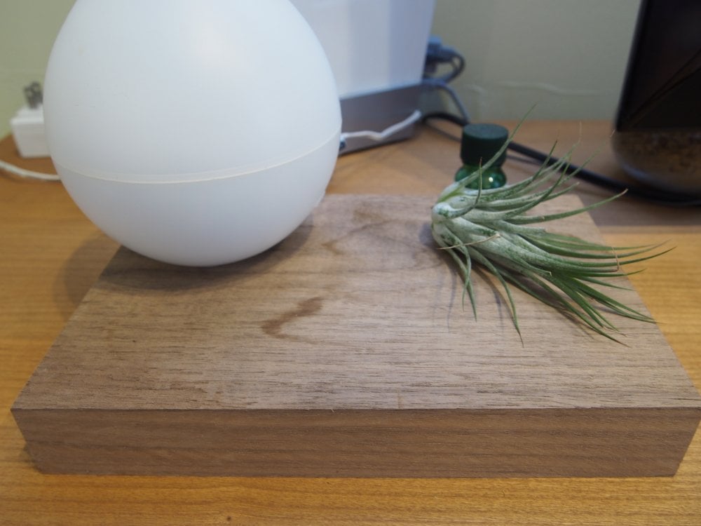 ウォールナットの端材でDIY」 - アガベさんのMASTERWAL SHOPの小物