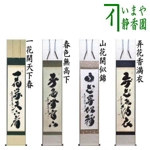 K茶道具 掛軸 奈良の名勝「月瀬春景(梅花)圖」 秋峯作 自作桐