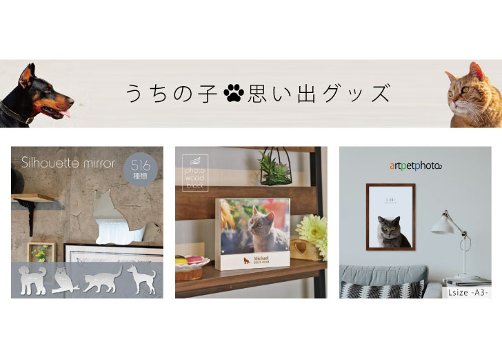 楽天市場】【 マラソン中 P5倍 】 うちの子 ひげケース 猫 ギフト