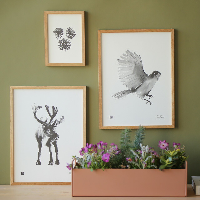 Teemu Jarvi (テーム・ヤルヴィ) ポスター 50×70cm OWL (ワシミミズク