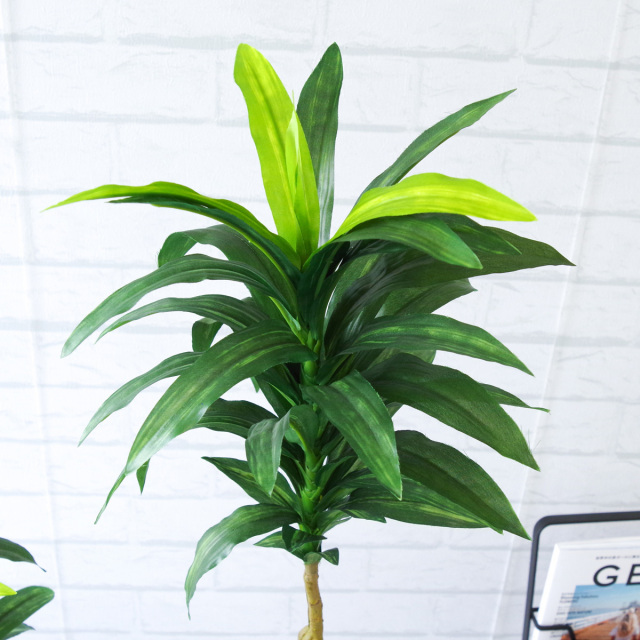 人工 観葉植物 フェイク グリーン ドラセナコンパクタ H約110cm 店舗