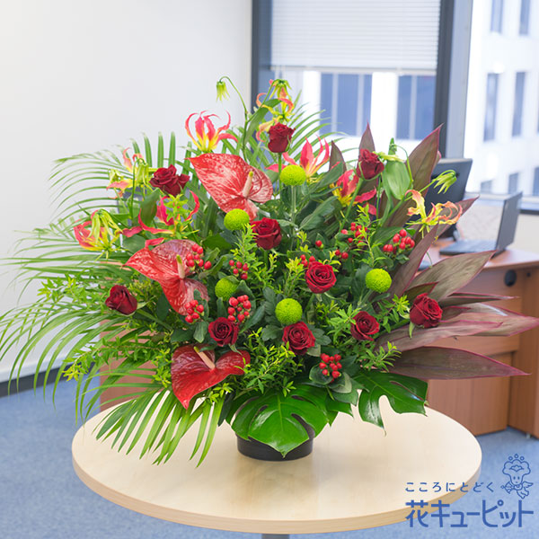 レッドの華やかアレンジメント - フラワーアレンジメント ［524301