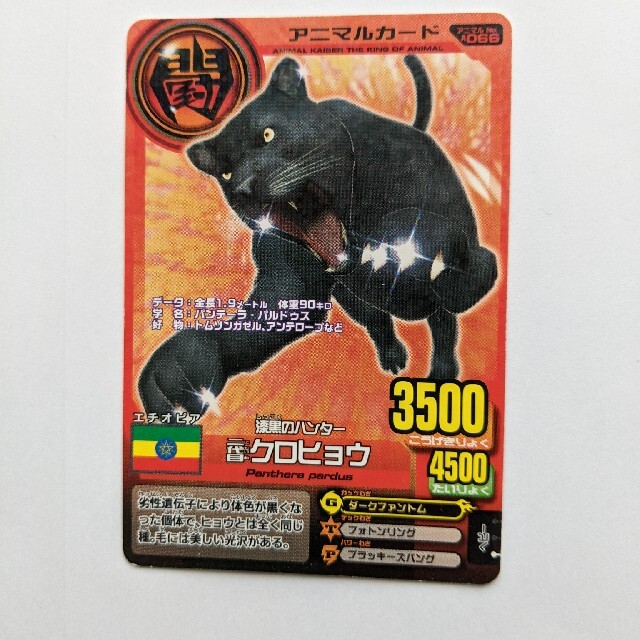 アニマルカイザーの通販 by ブルーデイジー's shop｜ラクマ