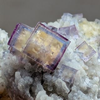 アンモナイト 5-1・4g（マダガスカル産化石標本）の通販 by min min