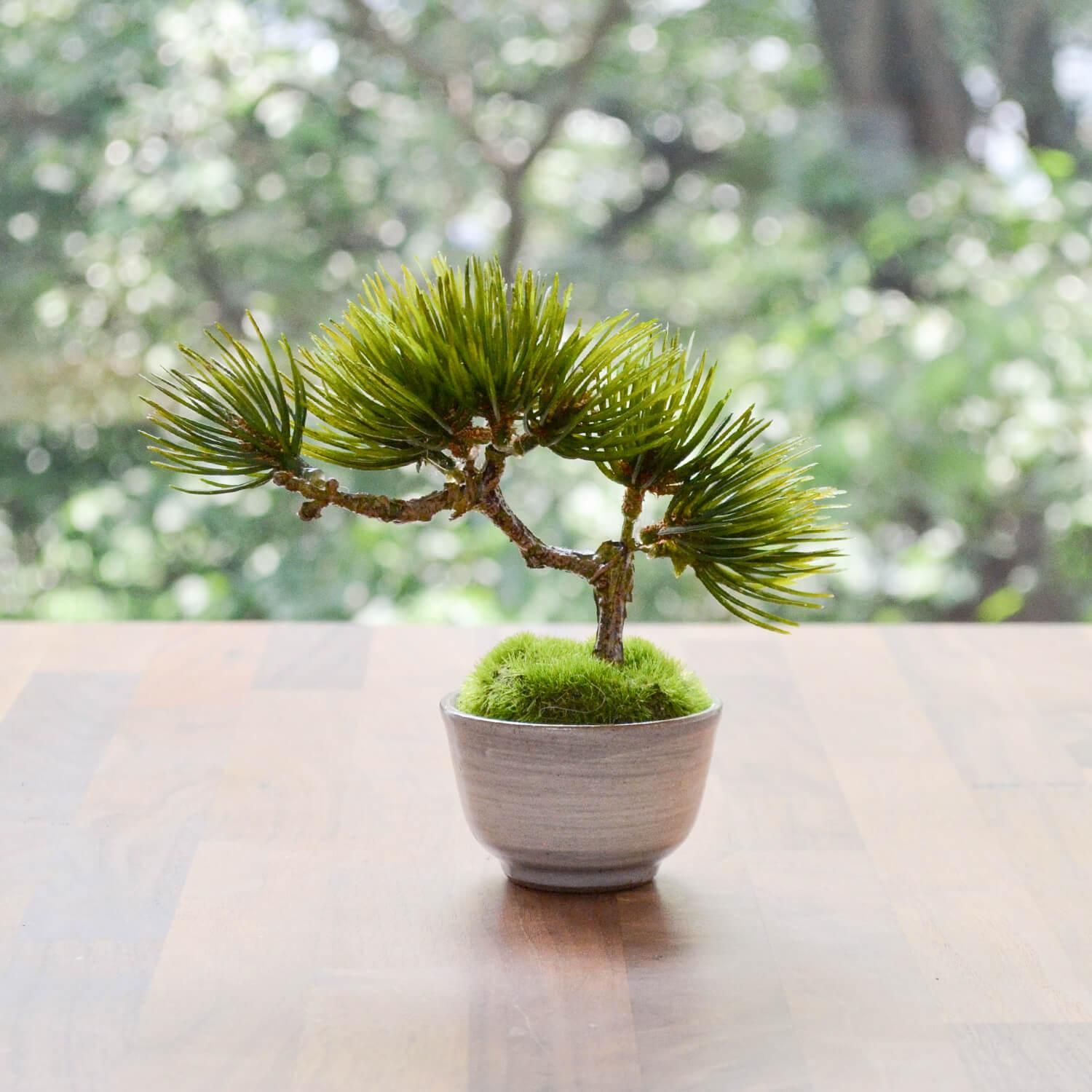 松・吹き流し 大鉢 フェイク盆栽 カップボン | 造花専門店プリマ