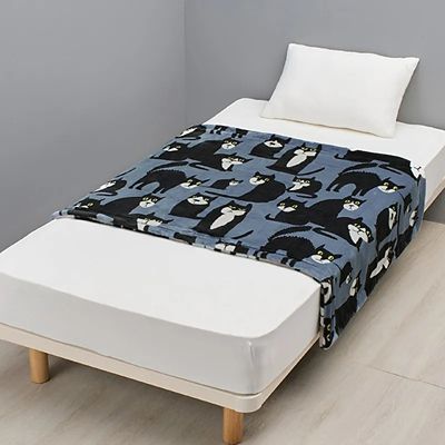 11014FQ75605013162003