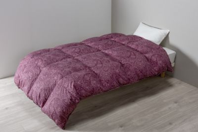 西川 羽毛掛ふとん DL（KA23004003） | 西川/ニシカワ