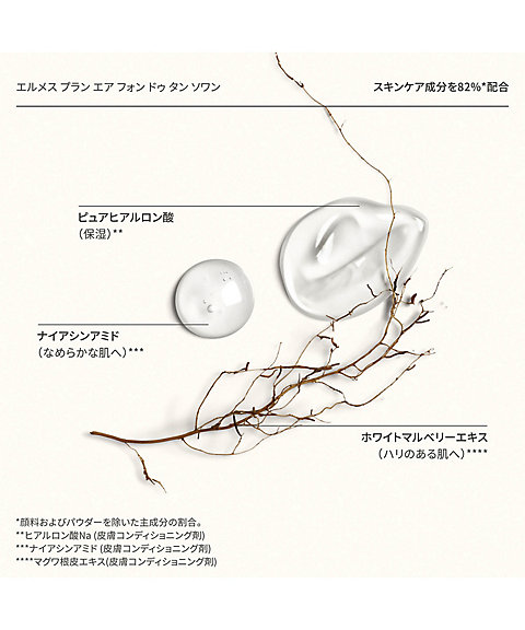 Hermès（Hermès） エルメス プラン エア フォン ドゥ タン ソワン