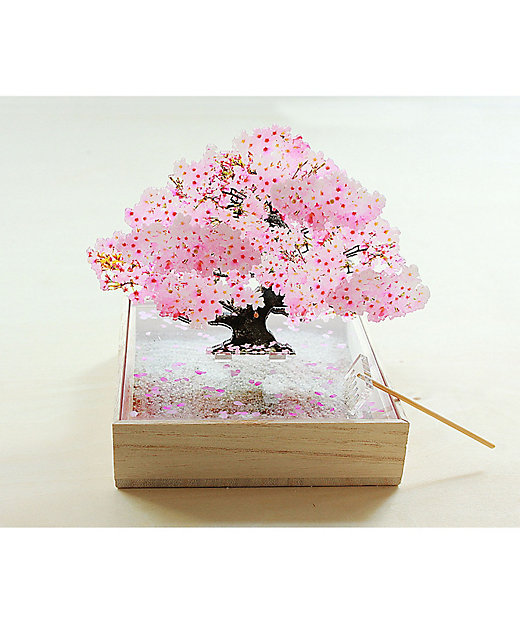 ミニbonsai 桜 | toumei (Women)/トウメイ | 三越伊勢丹