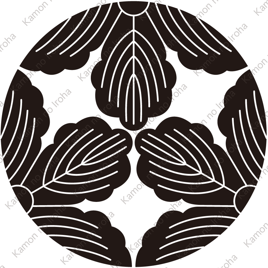 三つ割り三つ柏紋（みつわりみつかしわ）：家紋のいろは