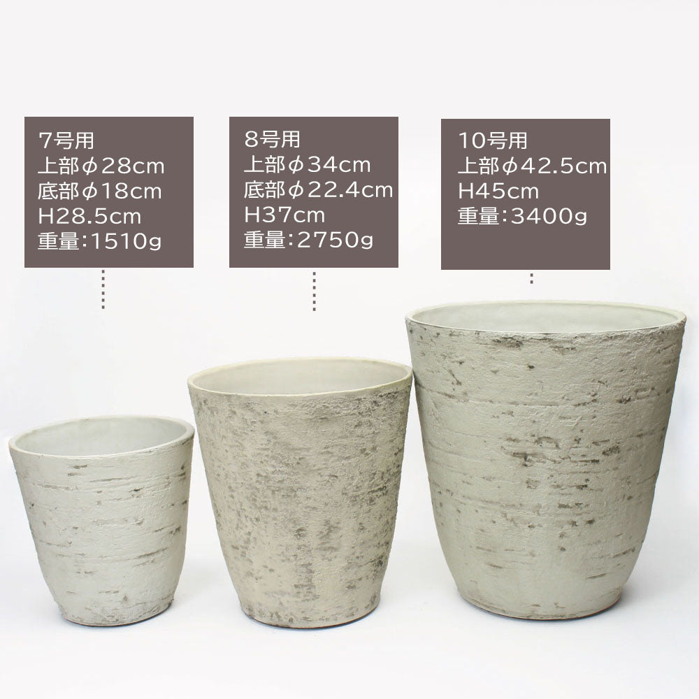 宝石のような観葉植物のお店 【Jewelry Plant】 すてきな白鉢カバー 7