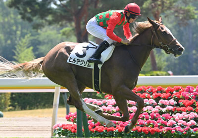 新潟2歳ステークス2025【穴馬予想】買い目はメーゼとリアライズ