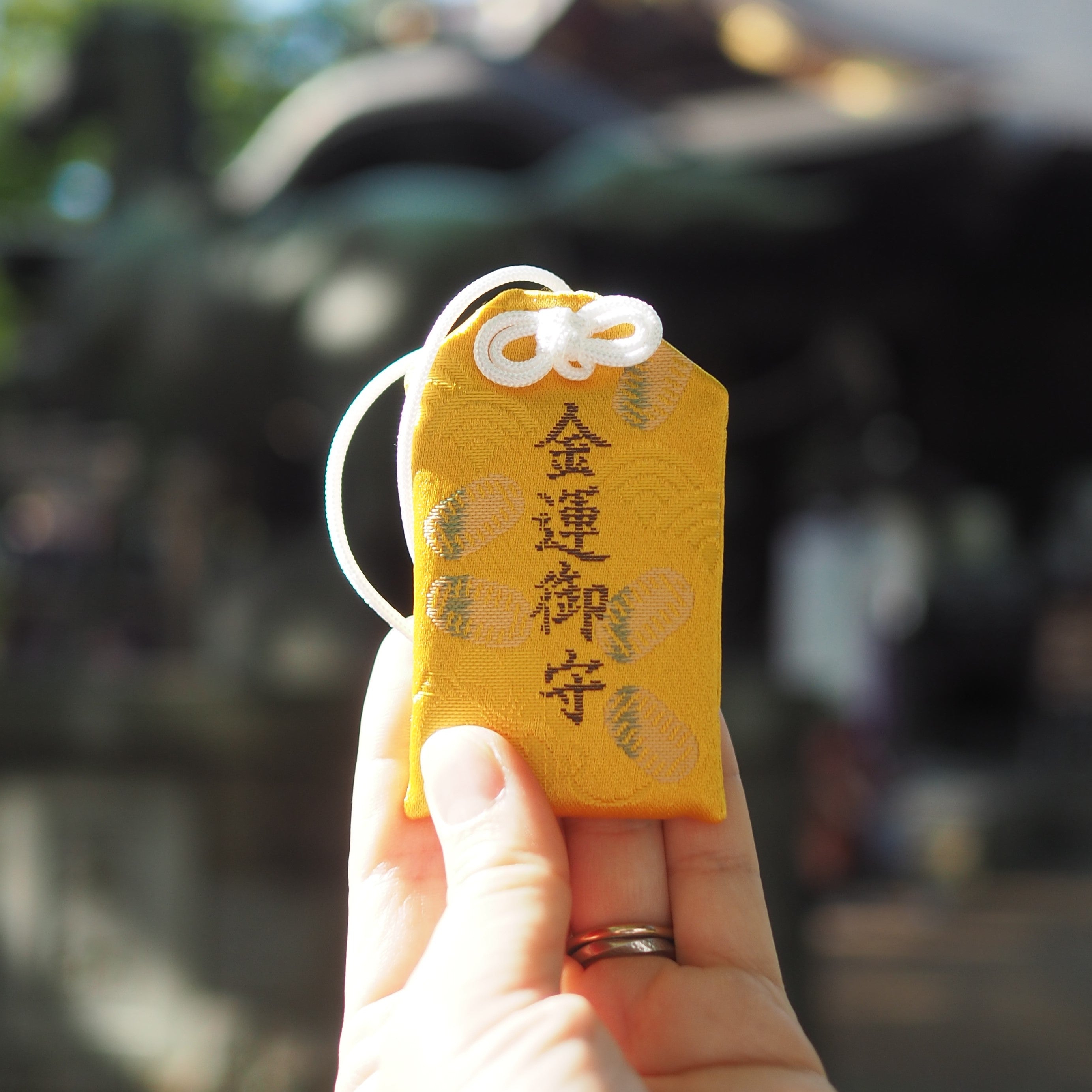 P8130198.jpg?v=1755070071&