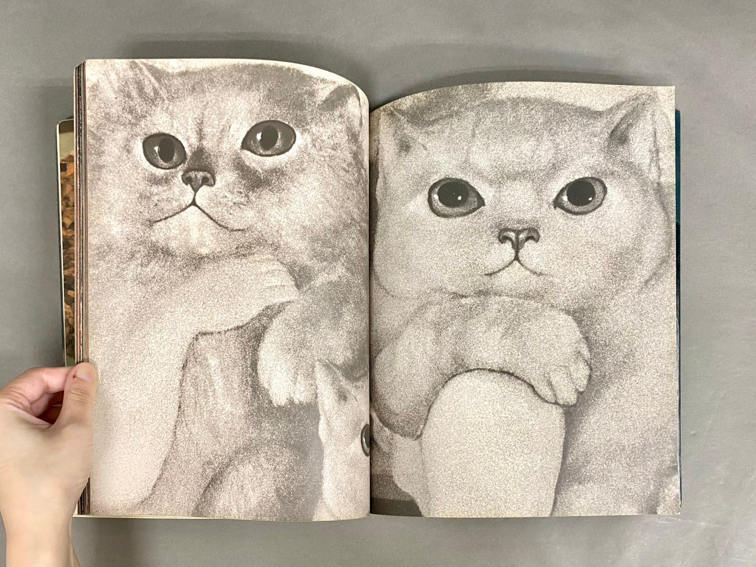 Leonor Fini レオノール・フィニ – 古書ドリス